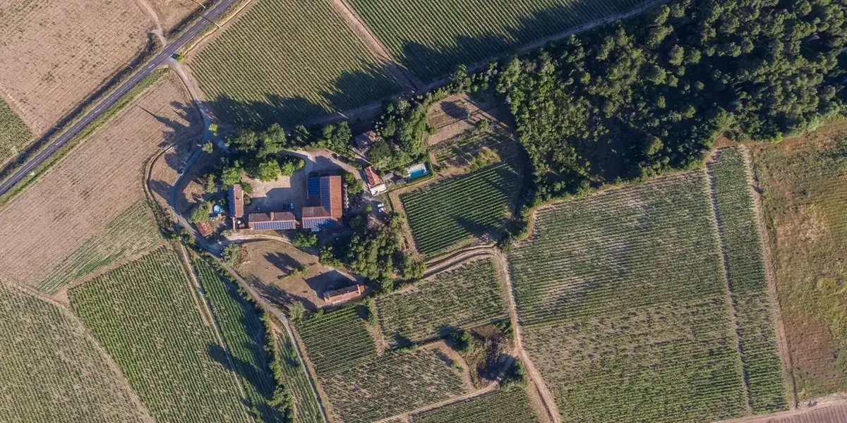 Domaine De La Conseillère