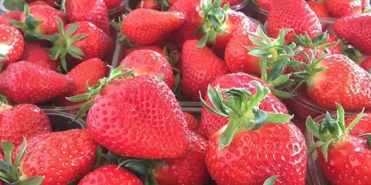 Picking Herbasse