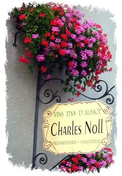 Vins d'Alsace EARL NOLL Charles