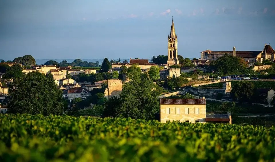 Château Pavie-Macquin