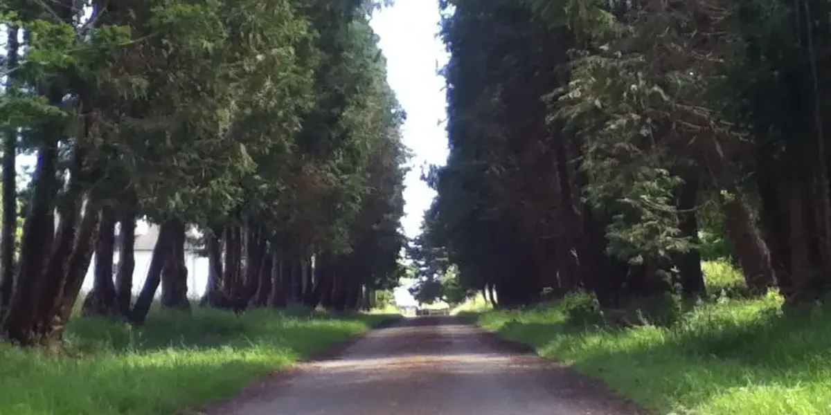 Ferme de l'Allée Verte