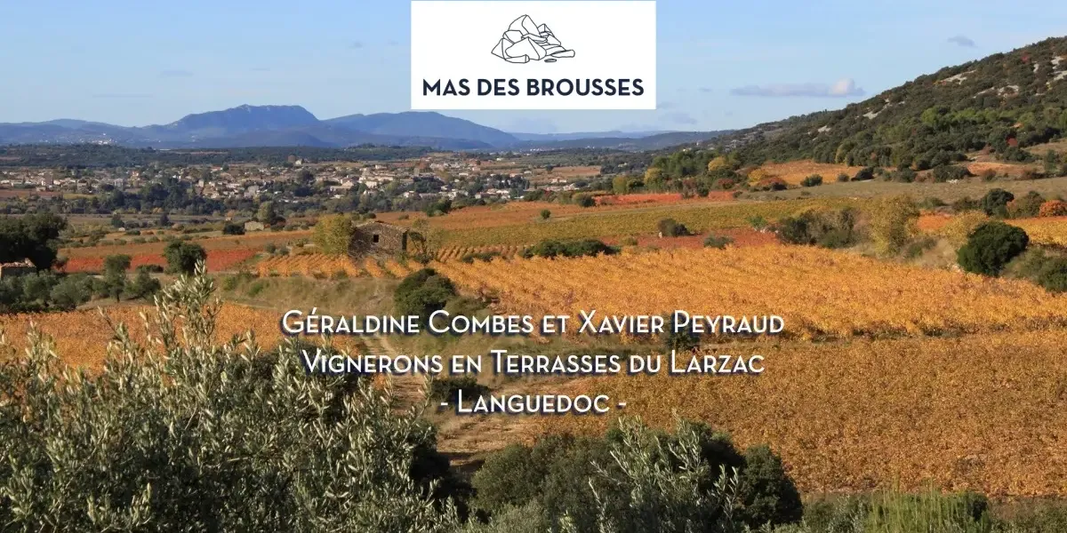 Mas des Brousses