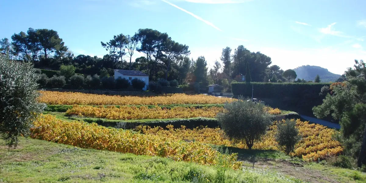Domaine de Cagueloup