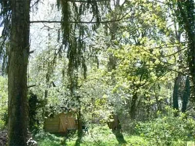 Le Rucher de Moquebaril