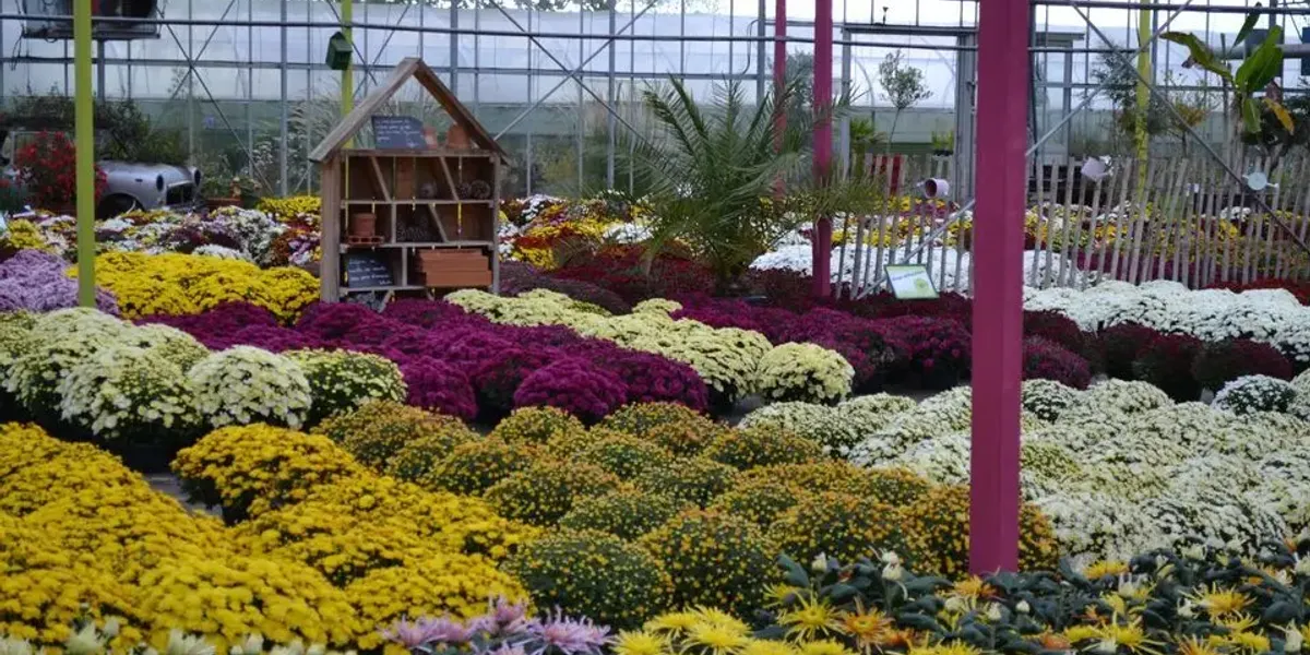 Le Saint Horticulture