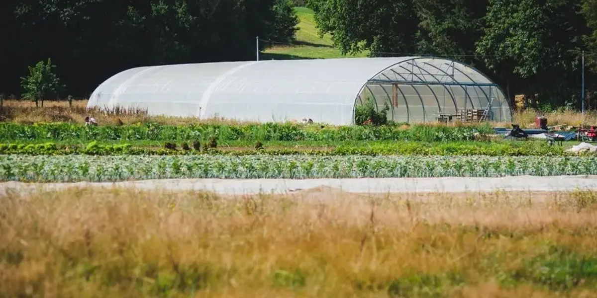 Le Potager de Brocéliande