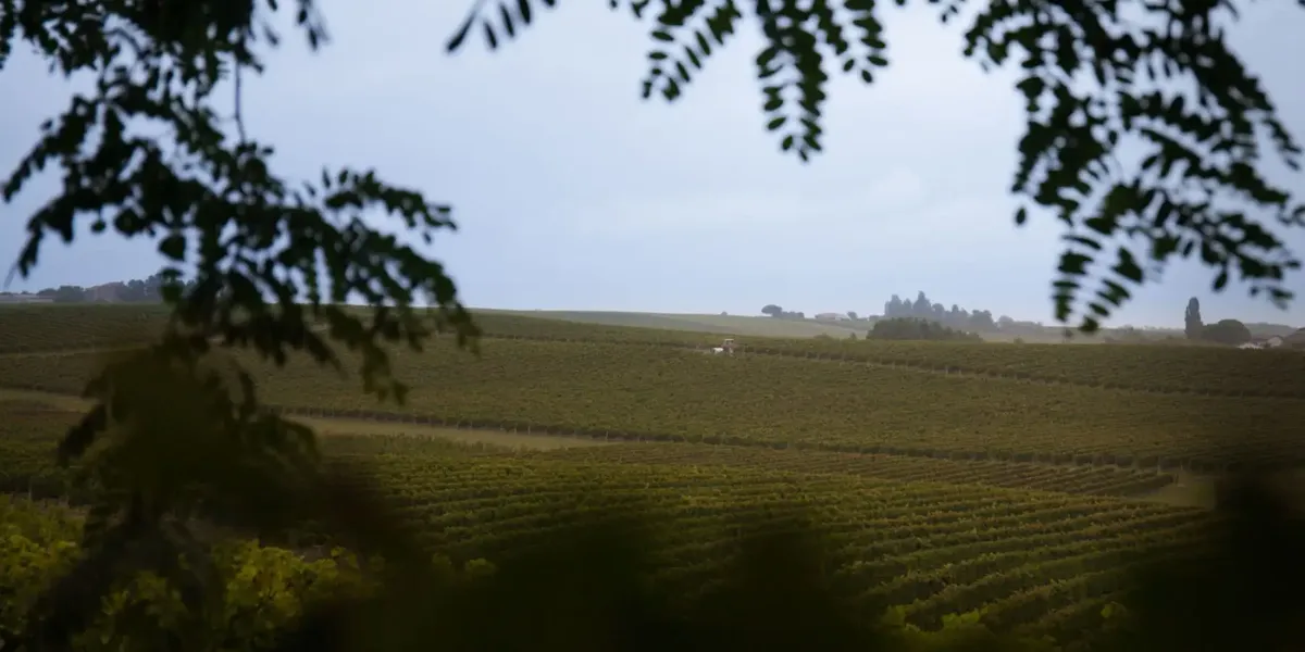 Chateau Perayne