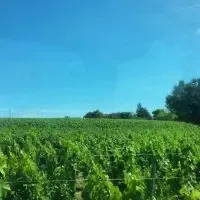Château Lagrange
