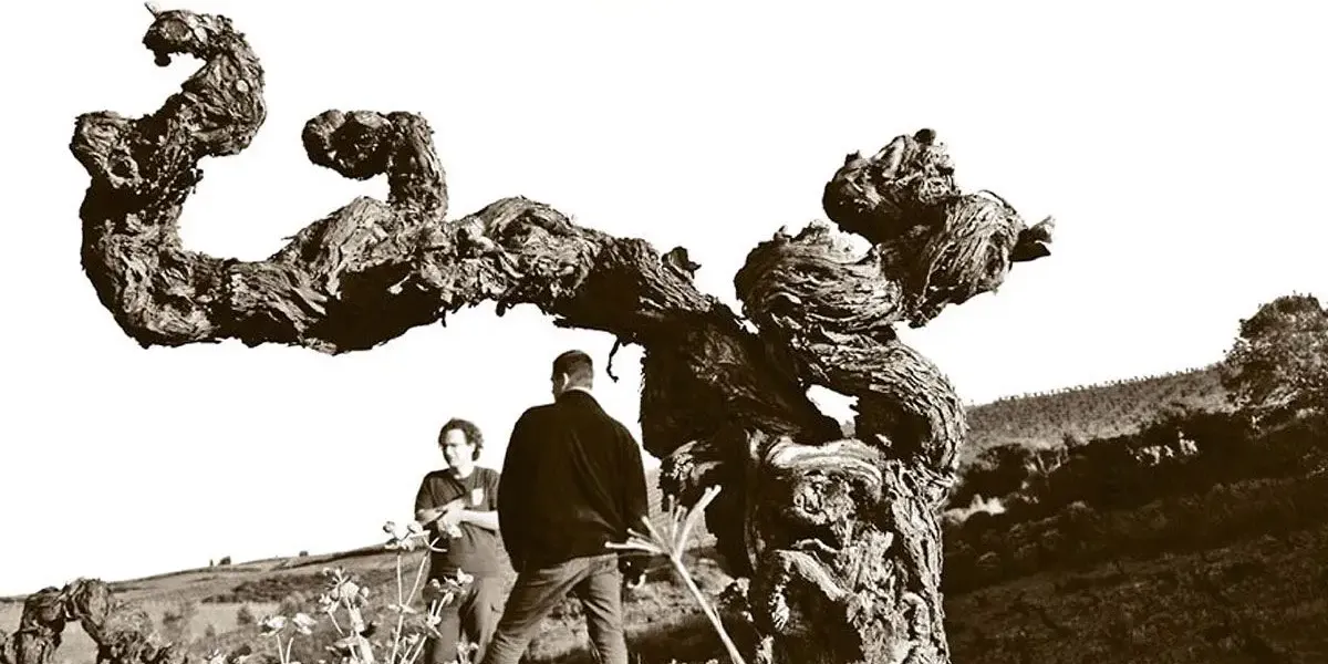 Domaine Binet-Jacquet