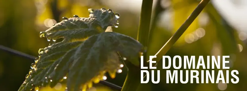 DOMAINE DU MURINAIS