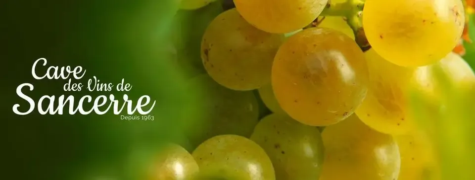 Cave des vins de Sancerre