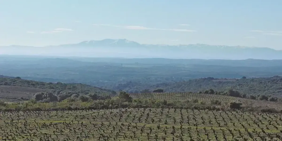 Domaine Bénézech-Boudal Château des Peyregrandes