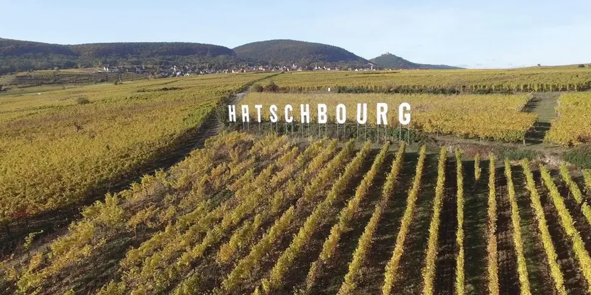 Xavier Schoepfer - Vins d'Alsace & Gîtes