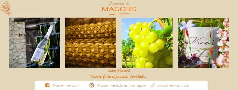 Domain Magord