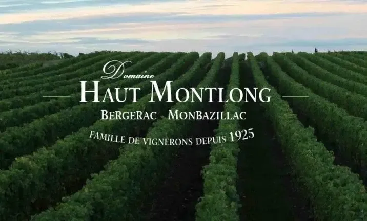 Domaine Du Haut Montlong