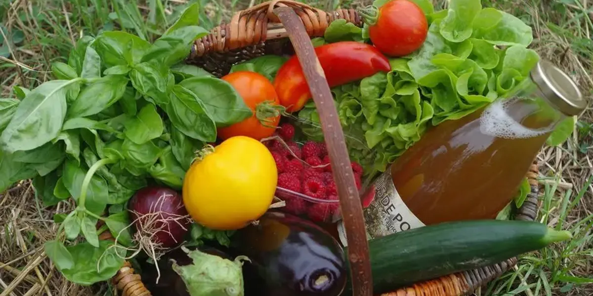 La Ferme Des Petits Gourmets
