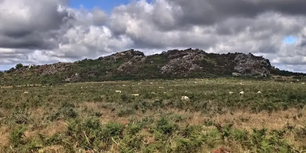Black Face Breizh