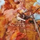 Logo de Domaine Monplezy