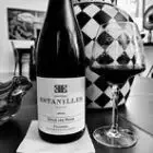 Logo de Chateau des estanilles