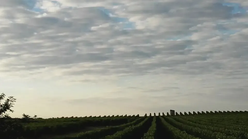 Vincent Gaudreau Vins de Vouvray