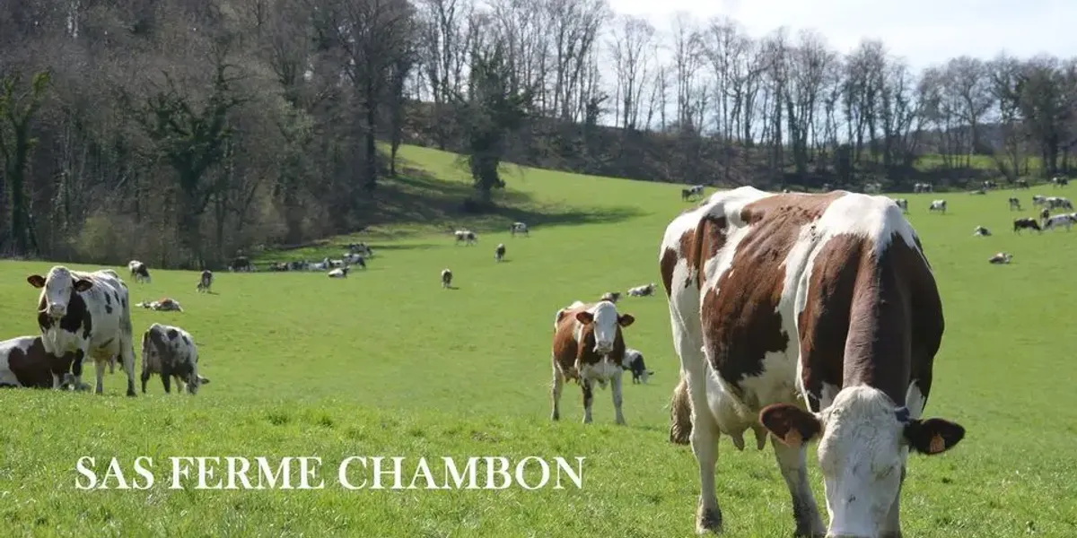 Gaec Chambon