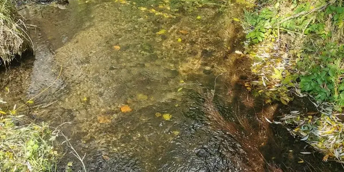 Le moulin de coyac