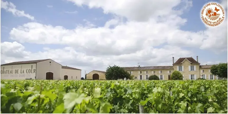 Vignobles Delacour