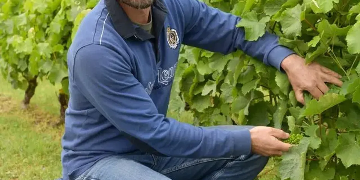 Domaine GARNIER