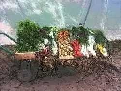La ferme du B
