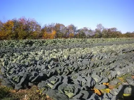 Les Jardins de la Perrière