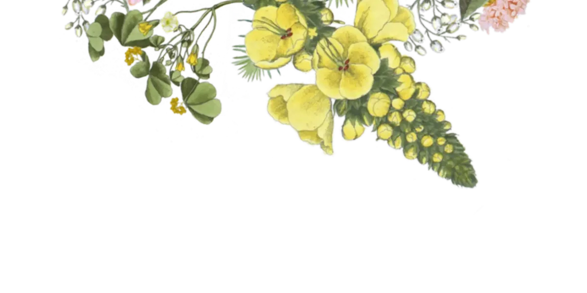 Jardin Norbert