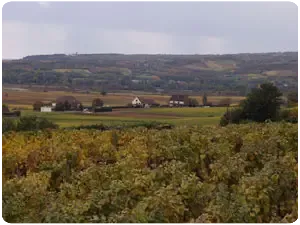 Domaine Bachelet-Ramonet Père et Fils