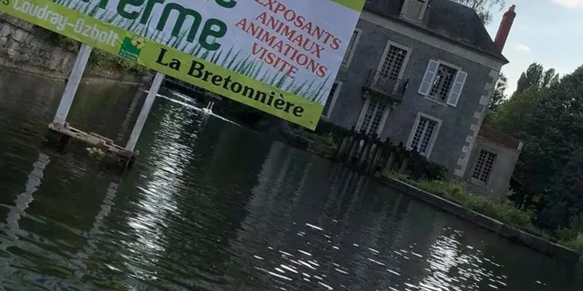 Les Oies Du Pre