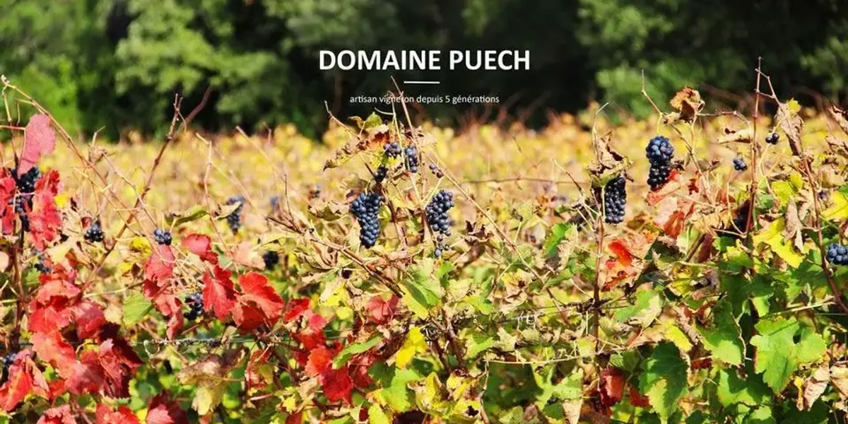 Domaine Puech