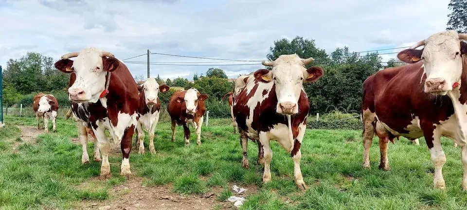 Ferme de Reculefort