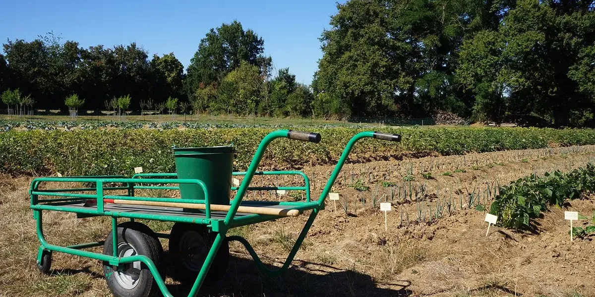 Le Potager de Nohant