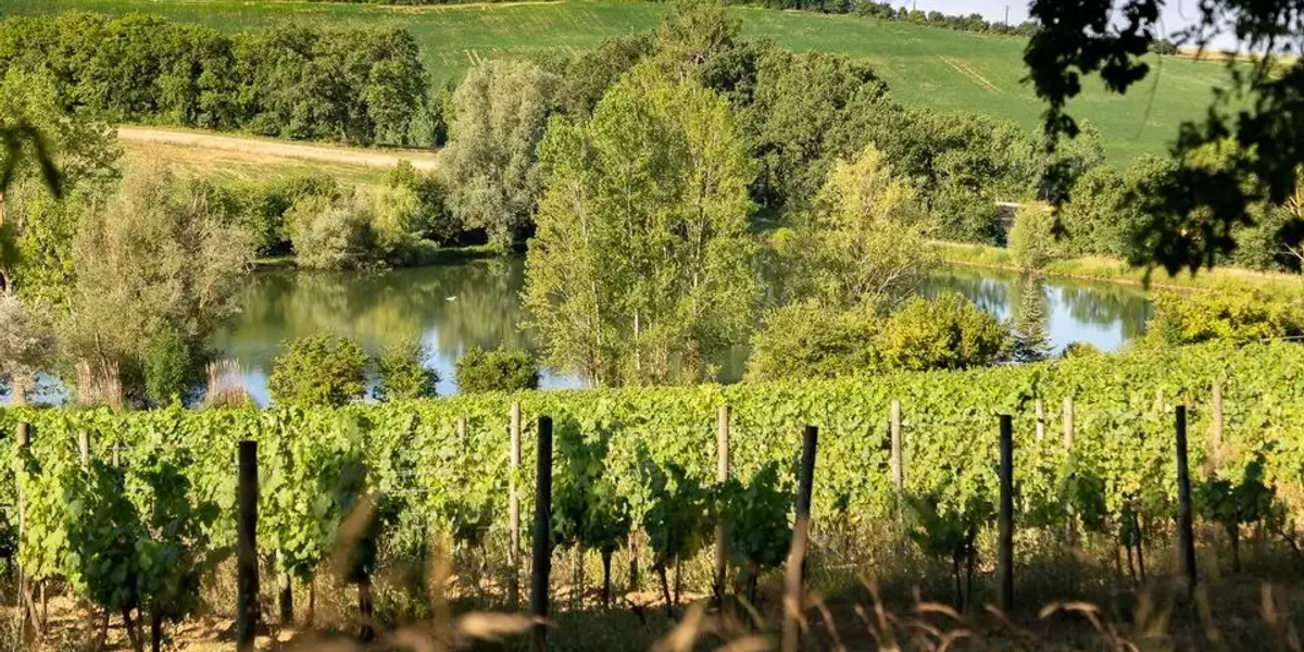 Domaine Boiron