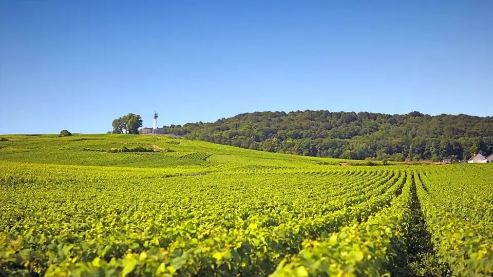 Château Rouget