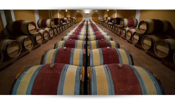Château Lafleur du Roy