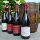Logo de EARL La Grand-Maison Vins de Chinon