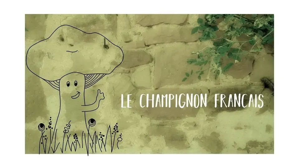 Le Champignon Français