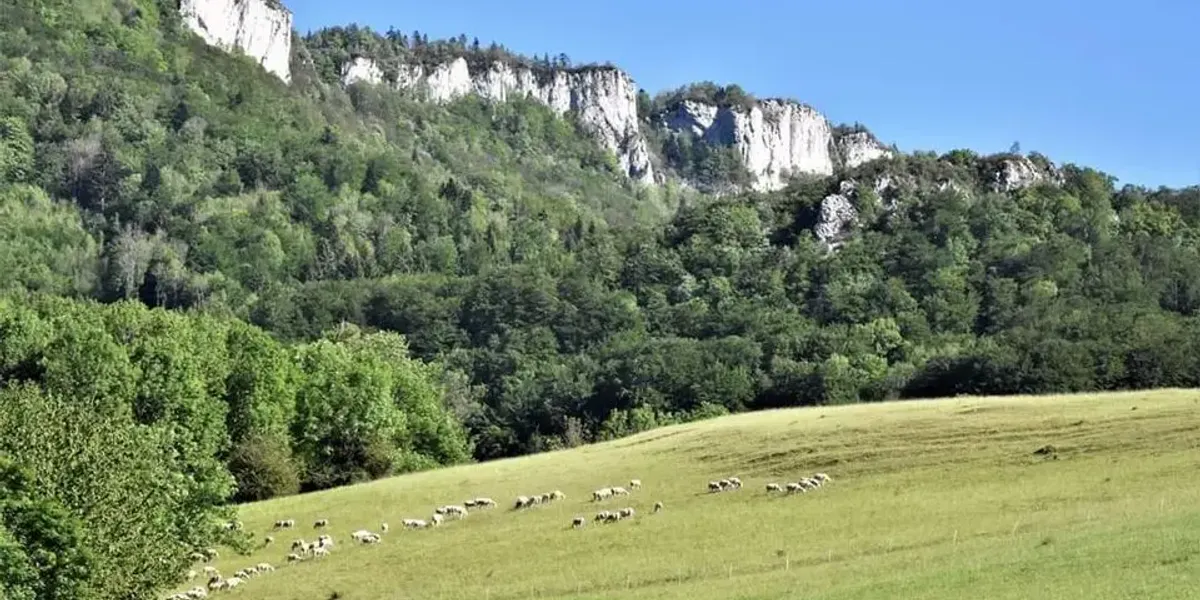 La Bergerie de la Rouye