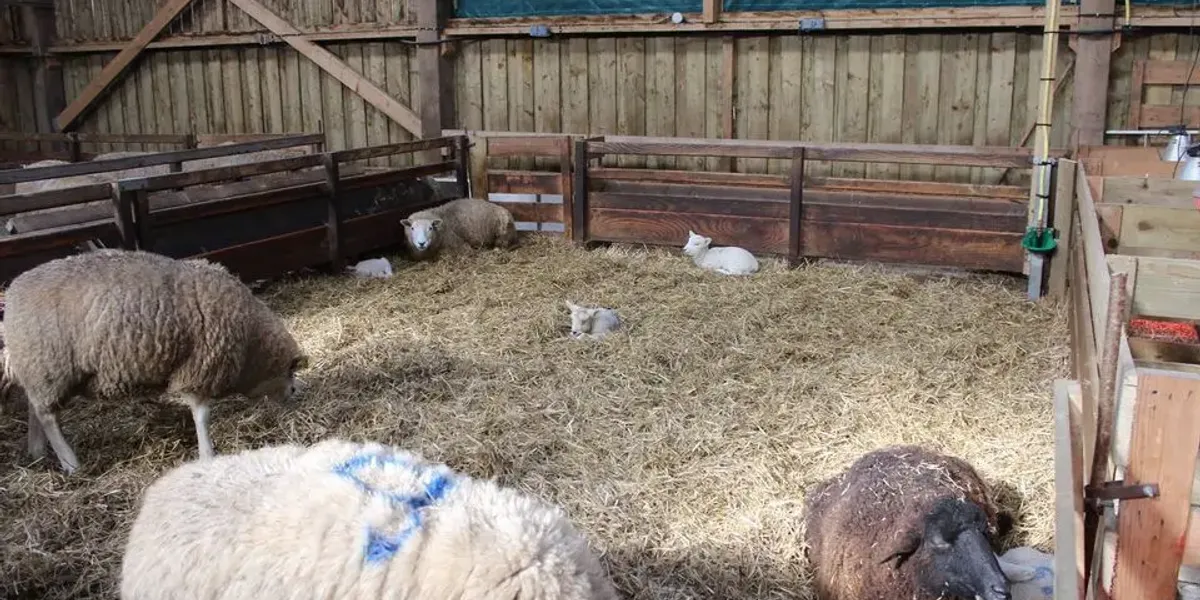 Ferme Deomp d'Ar Ger