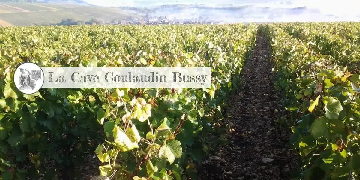 Cave Coulaudin Bussy