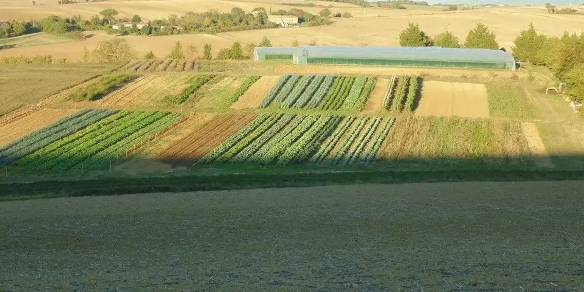 Les Saveurs de la Terre