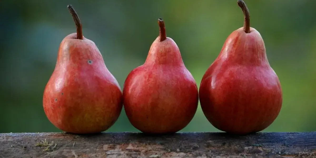 Ferme Fruitière Les Rives de l'Aveyron