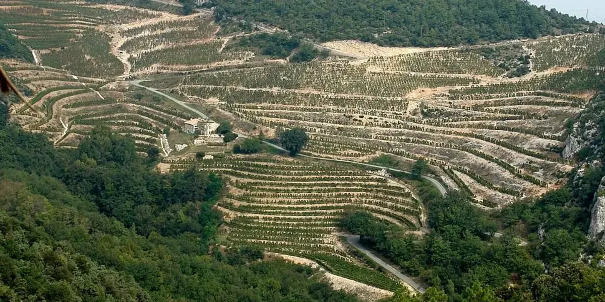 Domaine Courbis