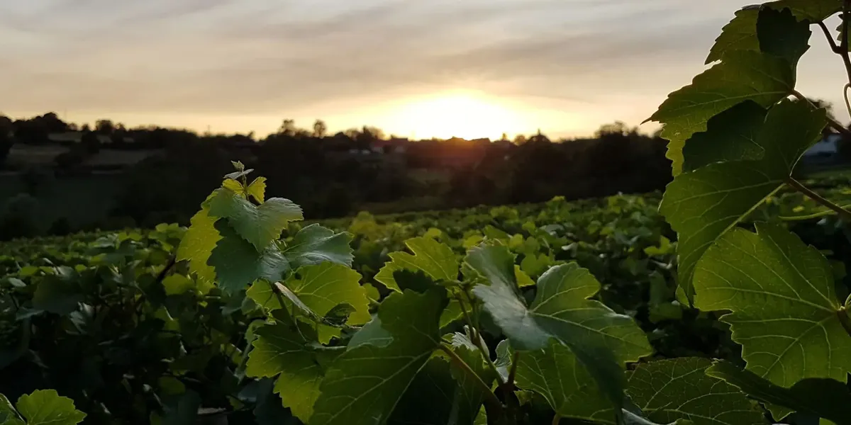 Domaine Les Hauts de Paris