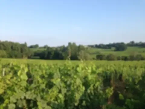 Château La Brande, certifié Bio