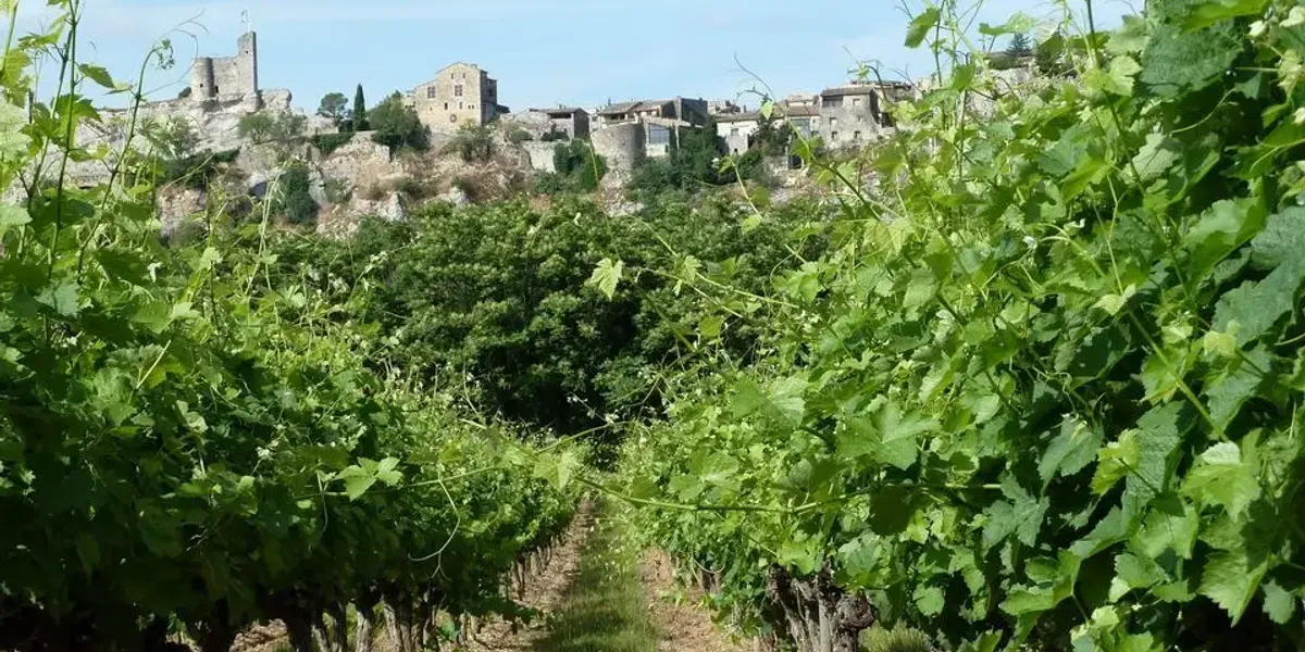 Domaine De La Croix Blanche